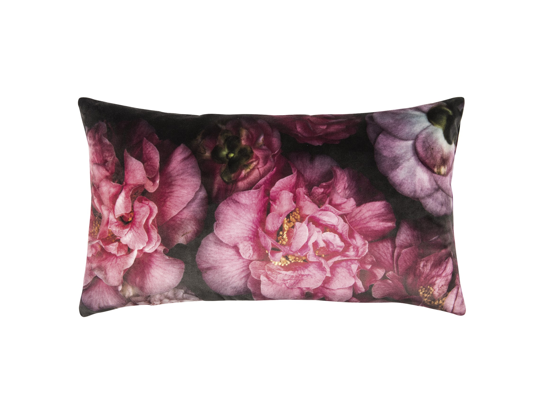 10301-pivot-kissenhuelle-35x60-pink-3 10301-pivot-kissenhuelle-35x60-pink-3