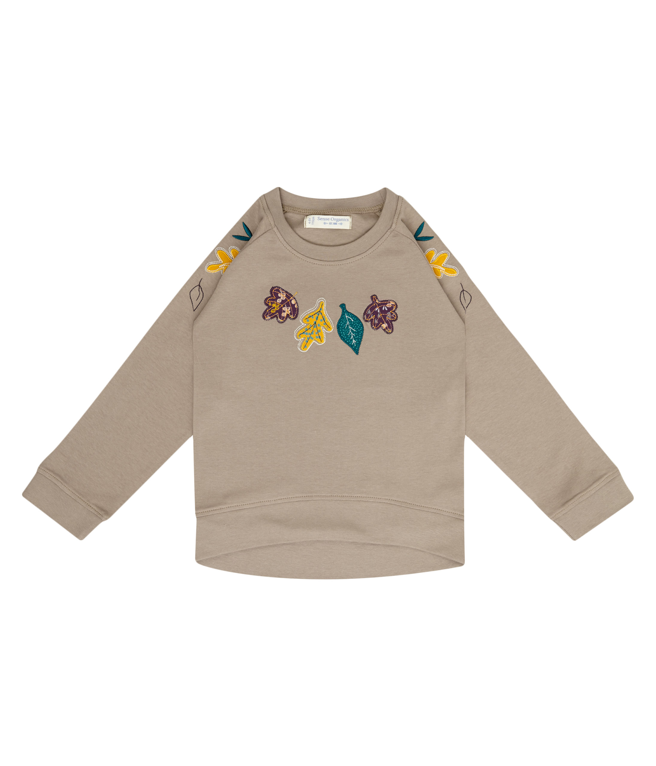 2021506_cinder_grey_leaves 2021506_cinder_grey_leaves