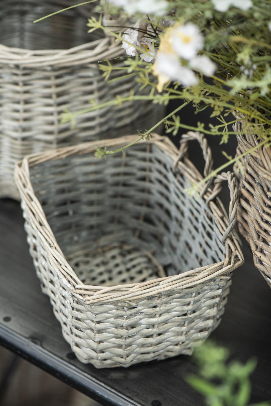 trend031_2916-00_trend01